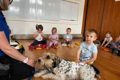 Zdjecie-WhatsApp-2025-06-09-o-22.37.17_d29fd970
