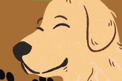 DOGOTERAPIA - 1