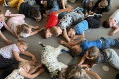 IMG-20250428-WA0003