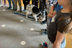 IMG-20250428-WA0013