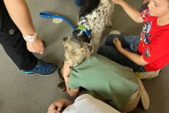 IMG-20250428-WA0023