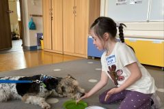 IMG-20250428-WA0027