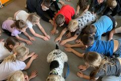IMG-20250428-WA0041