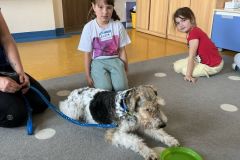 IMG-20250428-WA0054