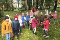 IMG_20221005_104132