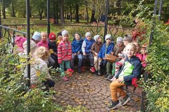 IMG_20221005_104555