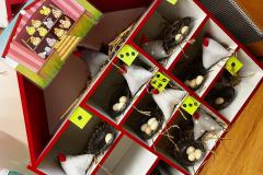 Zdjecie-WhatsApp-2025-04-14-o-12.55.28_008a3e15