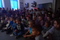 TEATR CIENI -TYGRYSEK PIETREK