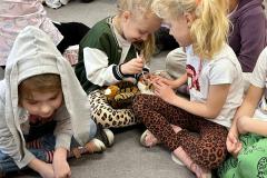 IMG-20250414-WA0024