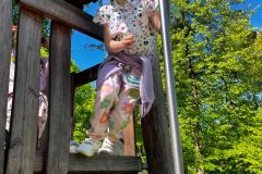 IMG-20250506-WA0053